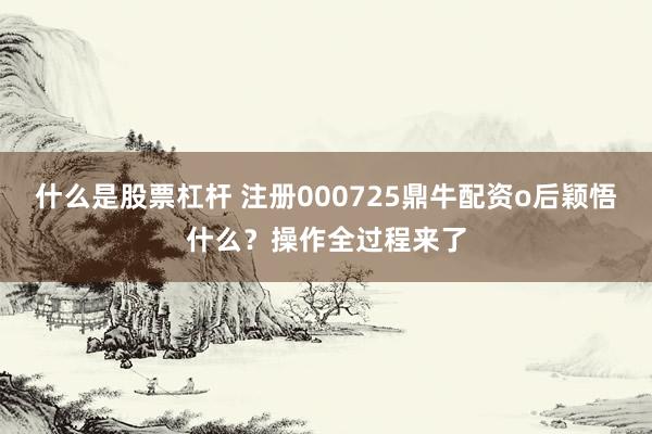 什么是股票杠杆 注册000725鼎牛配资o后颖悟什么?操作全过程来了