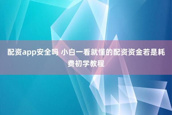 配资app安全吗 小白一看就懂的配资资金若是耗费初学教程
