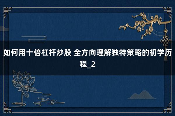 如何用十倍杠杆炒股 全方向理解独特策略的初学历程_2